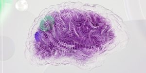 Understanding AI Domains and Platforms in 2026
