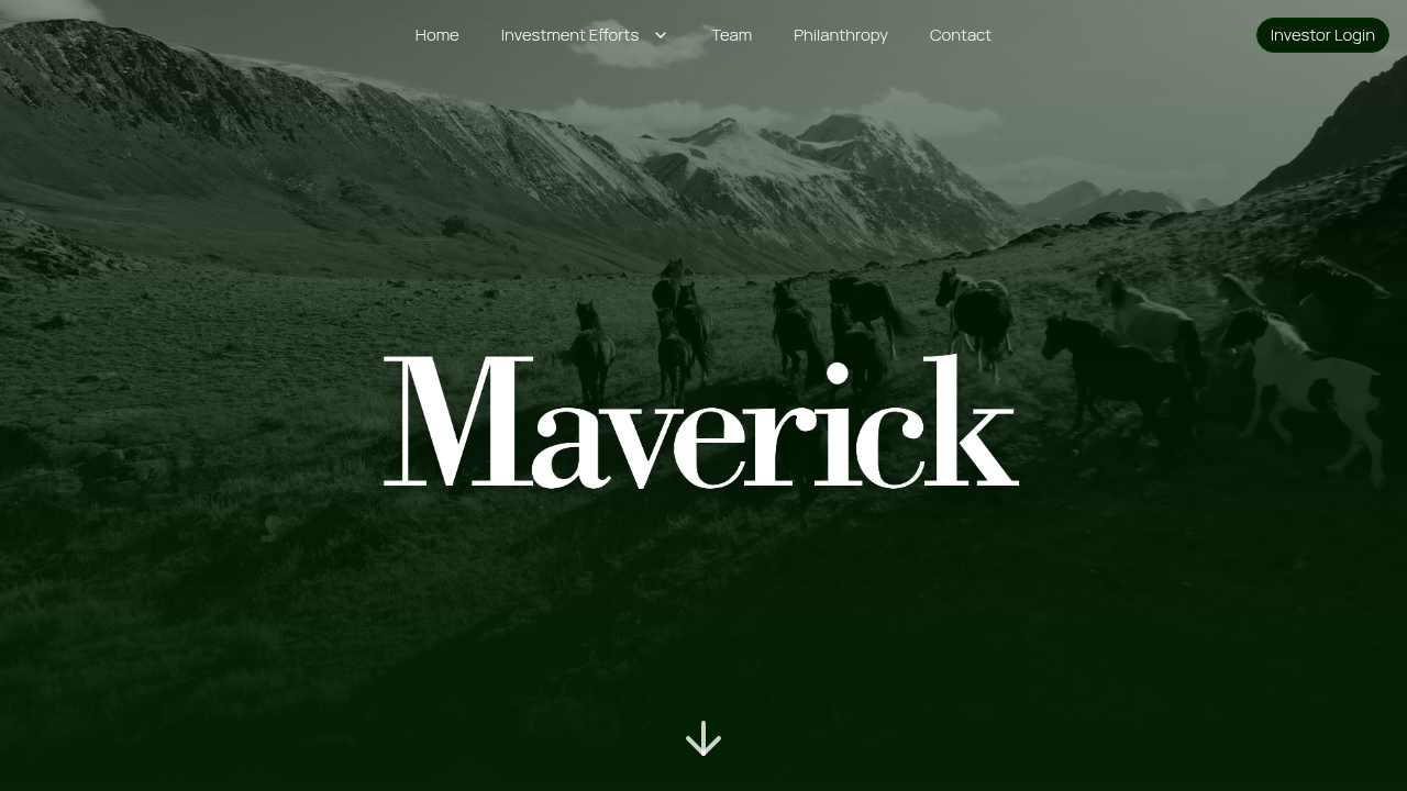 Learn more about Maverick Capital's investment strategies and venture arm directly from their website.
