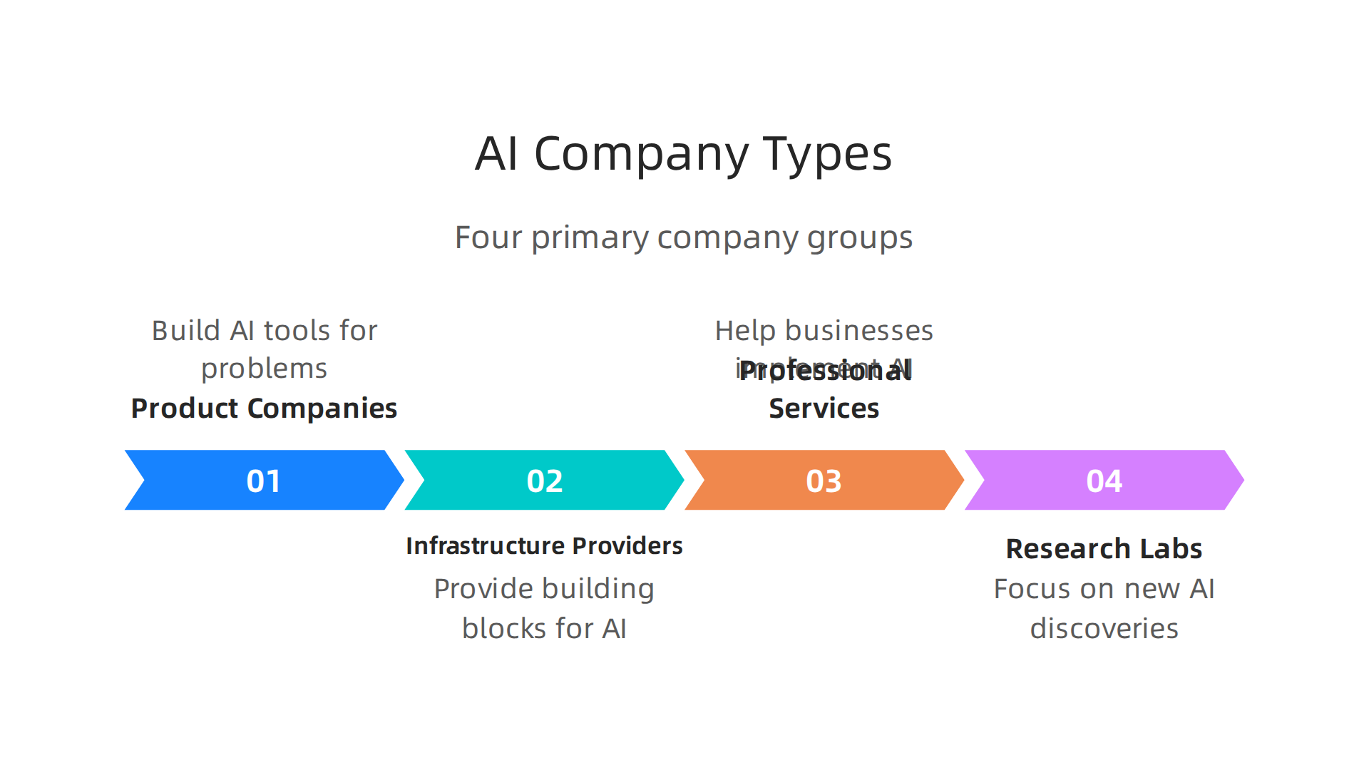 The AI industry is categorized into four primary company types, each with unique business models and growth strategies.
